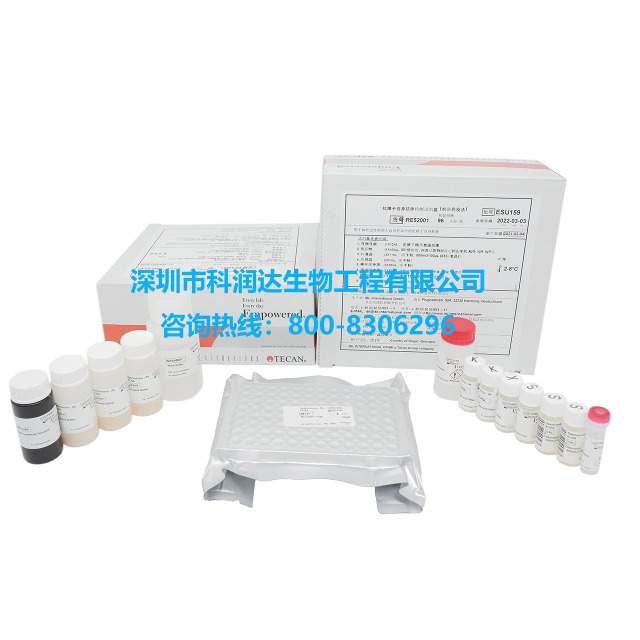 抗精子自身抗体检测试剂盒（ELISA）