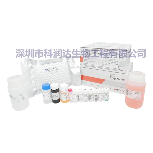 流感A抗体 IgA试剂盒