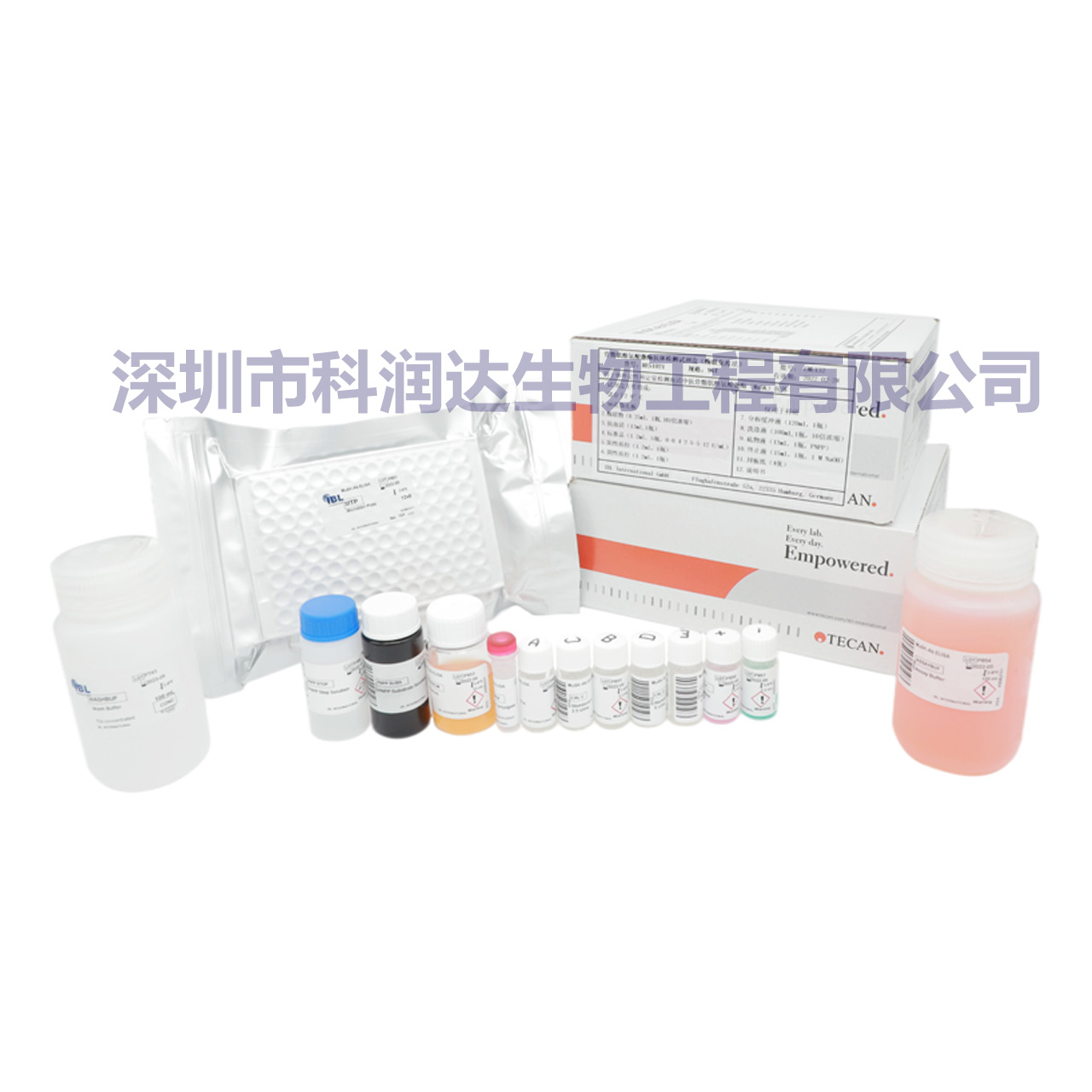 流感B IgG抗体试剂盒