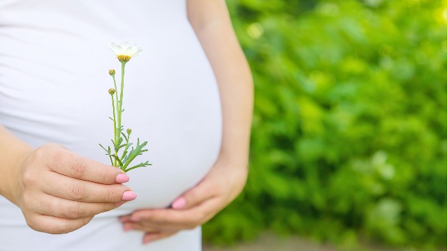 hcg激素检测值多少可以确定怀孕？